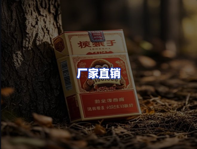 专业团队
